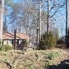 Tree & Stump Removal During Pic in Midlothian, VA