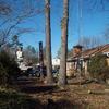 Tree & Stump Removal During Pic in Midlothian, VA